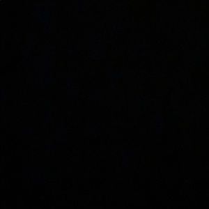 Meet your Posher, Cecilia